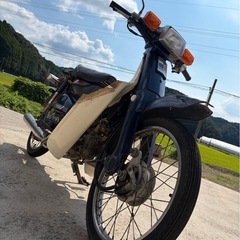 ホンダスーパーカブ50
の画像