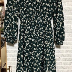 ワンピースの画像