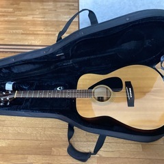 RITTER アコースティックギター セミハードケース（ジャンク品）の画像