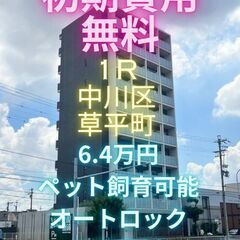 ⭐初期費用無料⭐😺ペット飼育可能🐶で広めの洋室が素敵なお部…