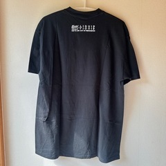 【購入者決定】他商品セット購入で値引き！ STUSSY Tシャツ　Lサイズの画像