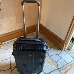 Proteca スーツケースの画像