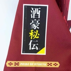 スフィーダ FC琉球 2022年 ユニフォーム #100 L SFIDA OKINAWA Jリーグの画像