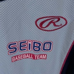 ローリングス 聖望学園高校 野球部 ハーフジップシャツ 練習着 M Rawlings トレーニングウェアの画像