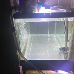 全部セット売り連絡下さいの画像