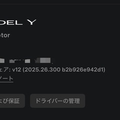 Hankook Ventus S1 evo3 EV用　255/45R19 /104W XL ModelY Juniper 純正新車外し相当の画像