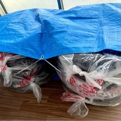 Hankook Ventus S1 evo3 EV用　255/45R19 /104W XL ModelY Juniper 純正新車外し相当の画像