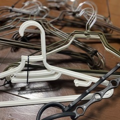 ハンガー まとめ売り シンプルカラーの画像