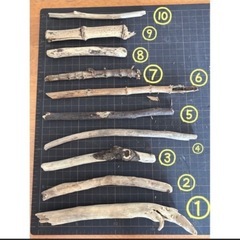 流木　一本300円〜　の画像