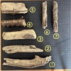 流木　一本300円〜　の画像