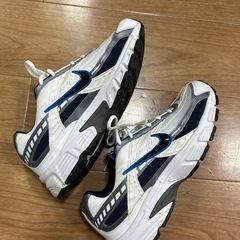 ナイキ　メンズ26センチ
 の画像