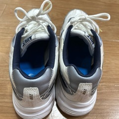 ナイキ　メンズ26センチ
 の画像
