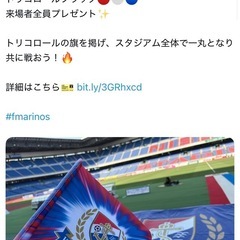 横浜F・マリノス トリコロールフラッグの画像
