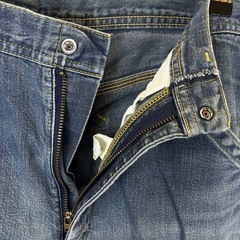 Lee リー ペインターパンツ デニム ジーンズ ボトム 29インチ 0191 E531-1374 メンズの画像