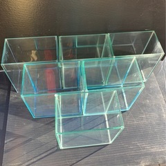 🐟ガラス水槽（ショーベタ　コレクションケース）1個の画像