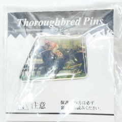 【未使用】[セット] 優勝レイ型しおり(第53回有馬記念) / ギャロップ トランプ / ピンズ2点(スペシャルウィーク・ウイニングチケット)の画像