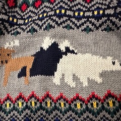 GAP 冬柄カーディガン アウター 12〜18mの画像