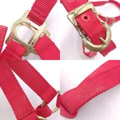 [2点セット] ホルター 無口 COB/FULL レッド/ネイビー 乗馬 馬術の画像