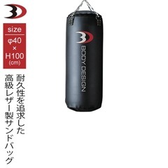 BODY DESIGN サンドバッグ　美品の画像
