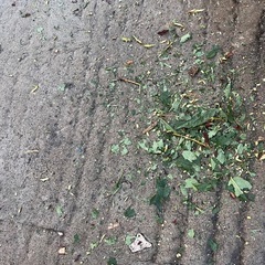 ガーデンシュレッダー  枝粉砕機の画像