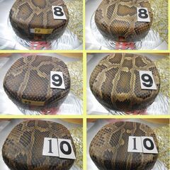 現品販売　新品未使用12.000円　沖縄三線専用　胴巻き付き蛇皮強化(二重張)型チーガの画像