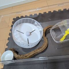 小動物用ケージ 飼育セットの画像