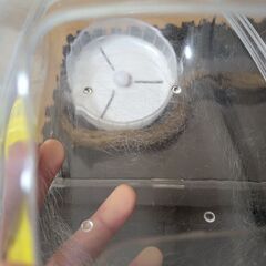 小動物用ケージ 飼育セットの画像