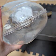 小動物用ケージ 飼育セットの画像