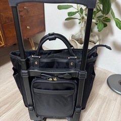 お値下げ！36,300円の品☆スワニー キャリーバッグ 黒レースの画像