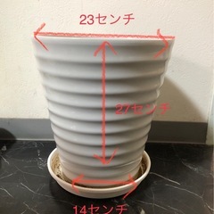 【無料】植木鉢　鉢の画像