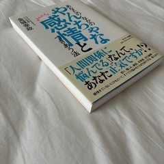 あなたのなかのやんちゃな感情とつきあう法　金城幸政の画像