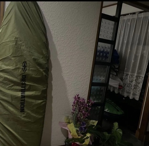 新古❗️Three Weather 公式 Bubble ファンボード6.6デッキカバー付