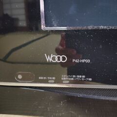 プラズマ 録画可能 woooの画像