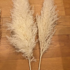 フェイクグリーンの画像