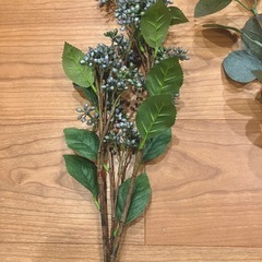 フェイクグリーンの画像