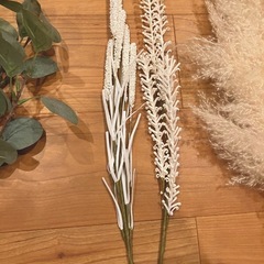 フェイクグリーンの画像