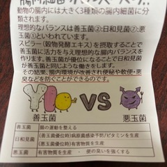 小動物用スピラー01の画像