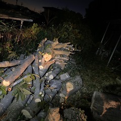 木を差し上げます！薪ストーブに！の画像