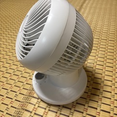 2025年式 サーキュレーターの画像