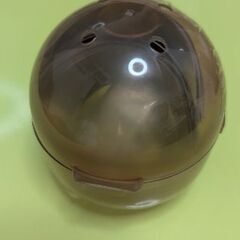 ふんばりーぬ２　ビションフリーゼの画像