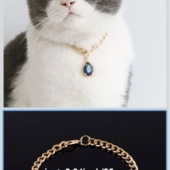 ペット用首輪の画像