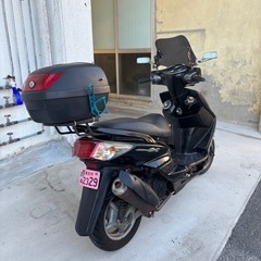 シグナス2型 本日即決 値下げ可の画像