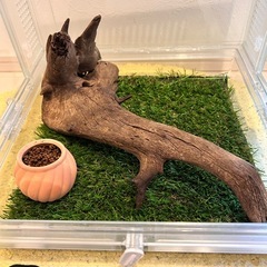 グラスハーモニー30cmキューブセットの画像