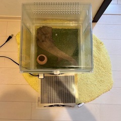 グラスハーモニー30cmキューブセットの画像