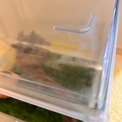 グラスハーモニー30cmキューブセットの画像