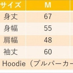 DSTYLE（ディスタイル） 2020 コンセプト フーディーパーカーの画像