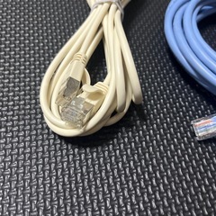 LANケーブル2本セットの画像