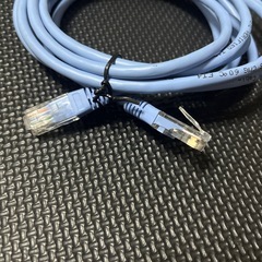 LANケーブル2本セットの画像