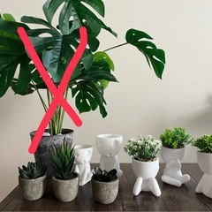 フェイクグリーン 
