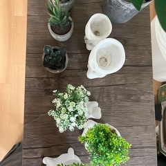 フェイクグリーン 
の画像